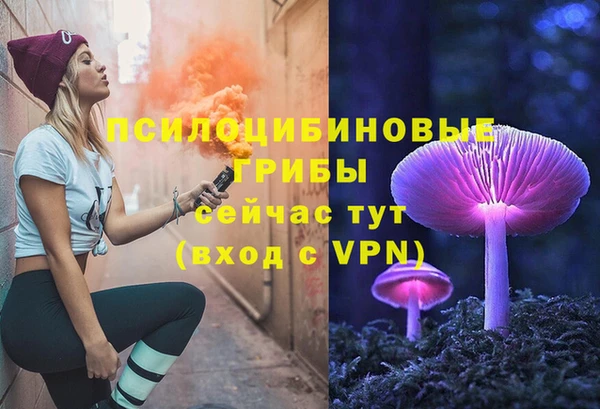 молекула духа Баксан